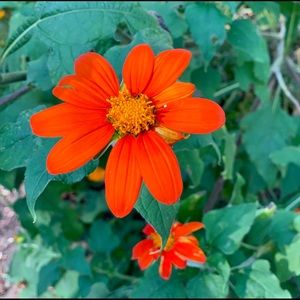 Meet your Posher, Sonja